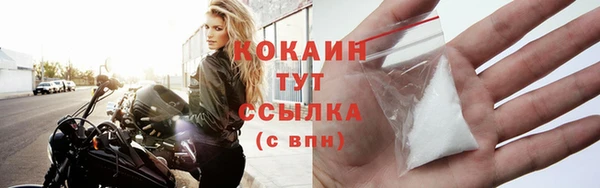 индика Ростов