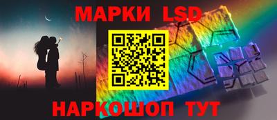 стаф Будённовск