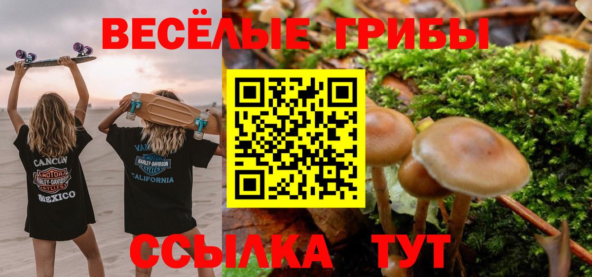 Псилоцибиновые грибы Psilocybine cubensis Дзержинский